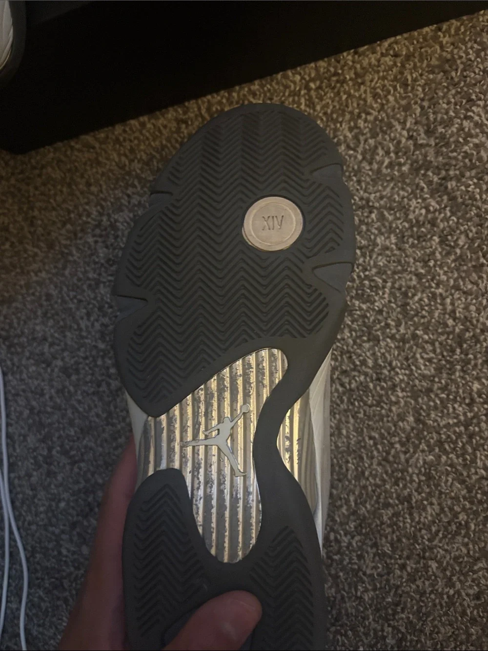 Jordan 14s cool gray color way